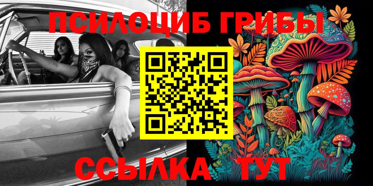 Псилоцибиновые грибы GOLDEN TEACHER Богородск